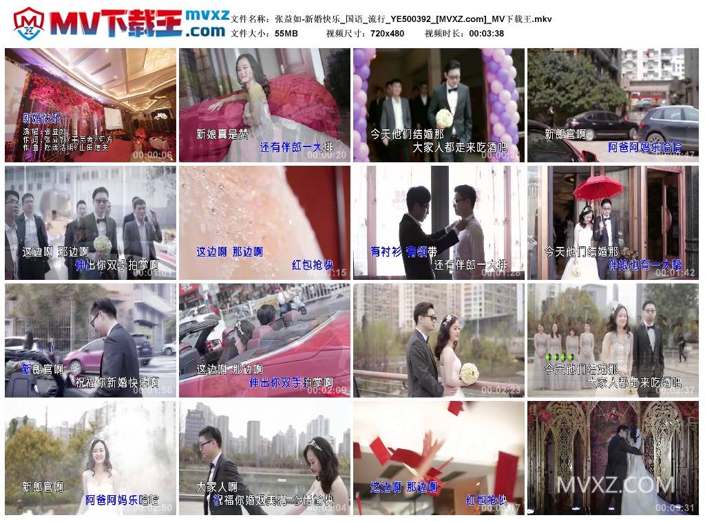张益如-新婚快乐_国语_流行_YE500392